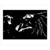 Kunstdruk Bob Marley Black and White 50x40cm