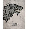 Kunstdruk Game of Thrones Stark 60x80cm