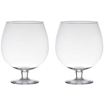 2x stuks luxe stijlvolle Brandy bloemenvaas/bloemenvazen 24 cm transparant glas - Vazen