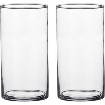 Set van 2x stuks cilinder bloemenvaas/bloemenvazen 9 x 15 cm transparant glas - Vazen