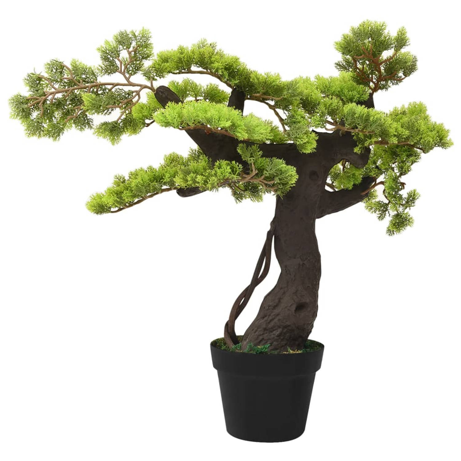 The Living Store Cipres Bonsai Kunstplant - 70 cm - Gedetailleerde bladeren - Nooit verwelken - Authentieke look