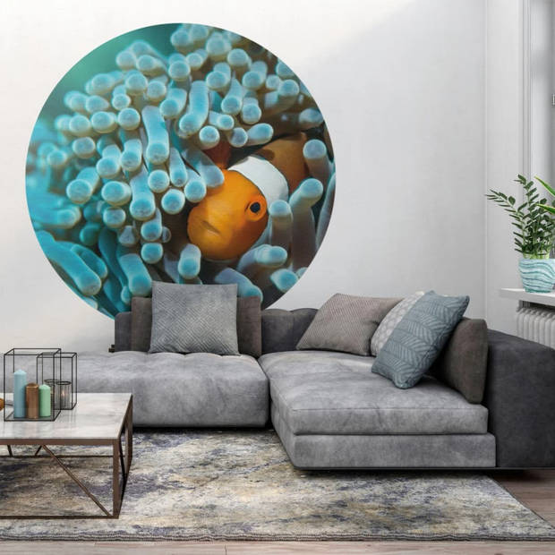 WallArt Behangcirkel Nemo the Anemonefish 142,5 cm