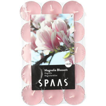 Spaas Geurtheelicht 30st Magnolia Blossom