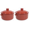 2x Terracotta stoofpotten/ovenschalen met deksel 25 cm - Braadpannen