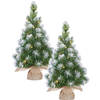 2x stuks groene LED verlichte kunstboom met 15 LED lampjes en sneeuw 60 cm - Kunstkerstboom