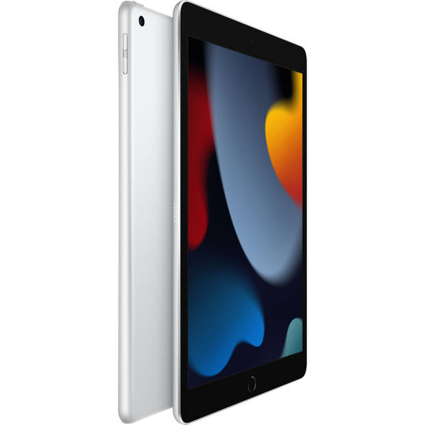 Apple 10.2-inch iPad 256GB Wi-Fi 2021 (Zilver)
