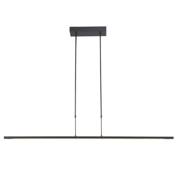 Masterlight Hanglamp Real 2 LED 130 cm zwart nikkel