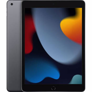 Apple 10.2-inch iPad 64GB Wi-Fi 2021 (Grijs)