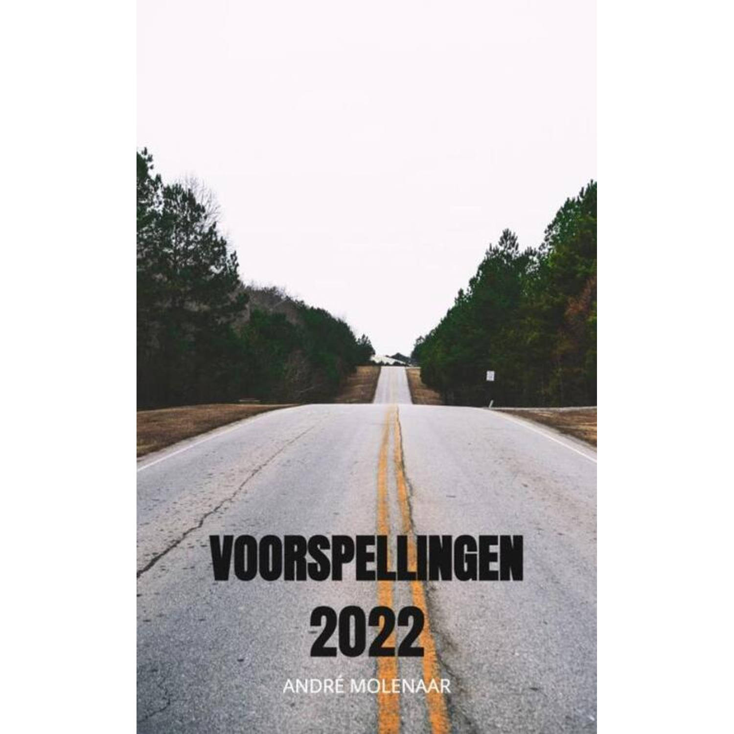 Voorspellingen 2022