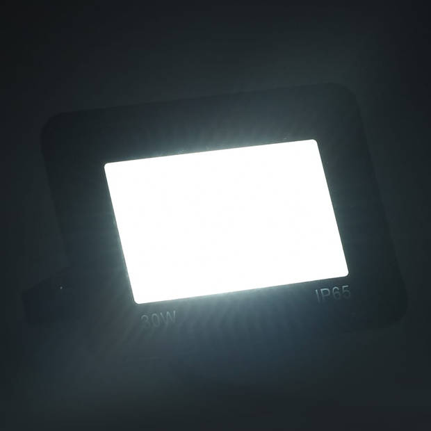 vidaXL Spotlight LED 30 W koudwit