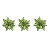 3x stuks decoratie bloemen kerstster groen glitter op clip 18 cm - Kunstbloemen