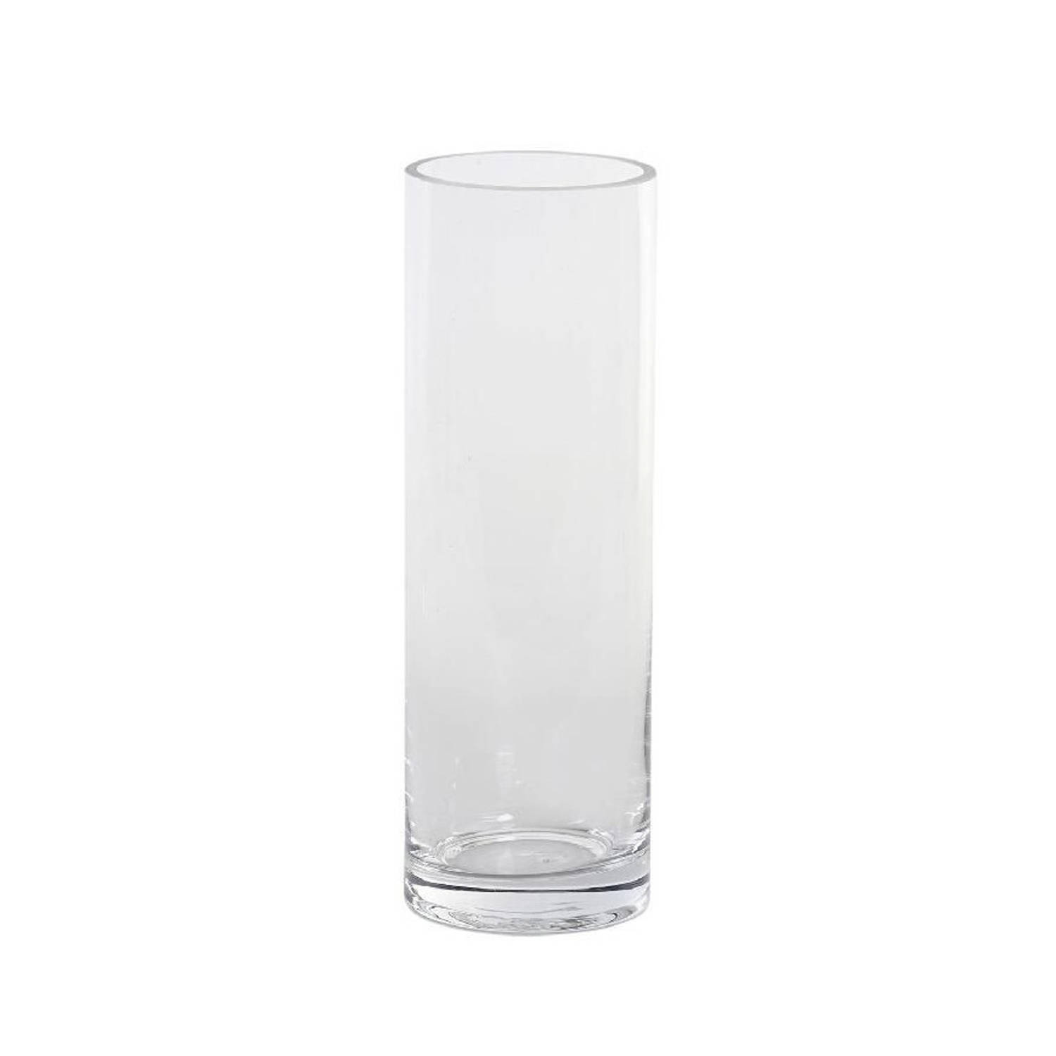 Vergissing spoelen winnen Cilindervaas/bloemenvaas van glas 8 x 24 cm - Vazen | Blokker