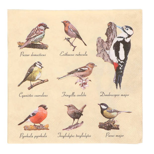 20x Papieren servetten met vogels print 33 x 33 cm - Feestservetten