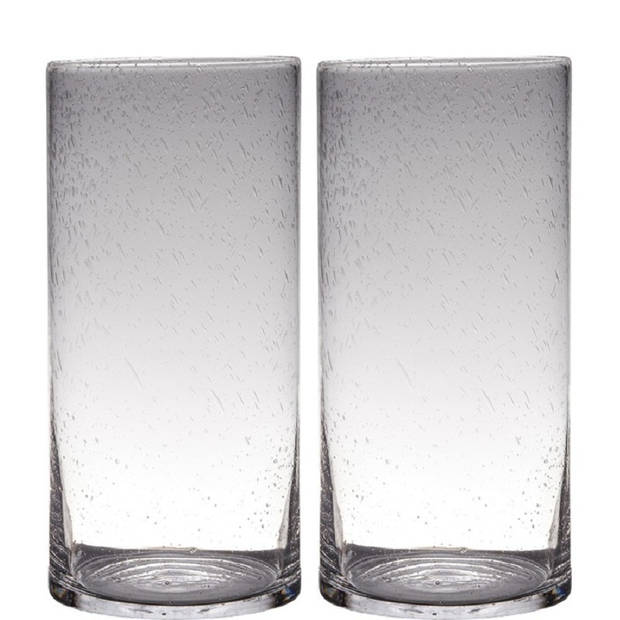 Set van 2x stuks transparante home-basics cylinder vorm vaas/vazen van bubbel glas 40 x 19 cm - Vazen