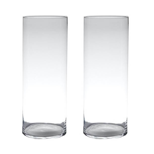 Set van 2x stuks transparante home-basics cylinder vorm vaas/vazen van glas 60 x 19 cm - Vazen