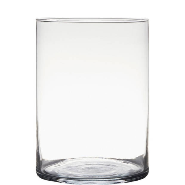 2x stuks transparante home-basics cylinder vorm vaas/vazen van glas 25 x 18 cm - Vazen