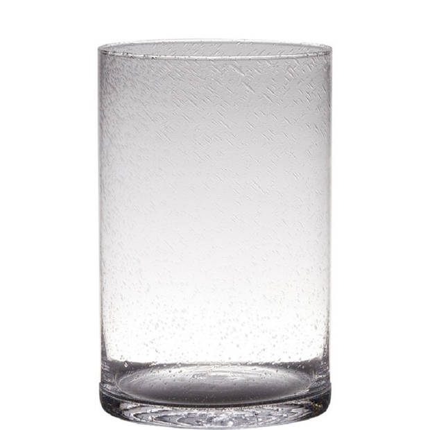 Transparante home-basics cylinder vorm vaas/vazen van bubbel glas 30 x 19 cm - Vazen