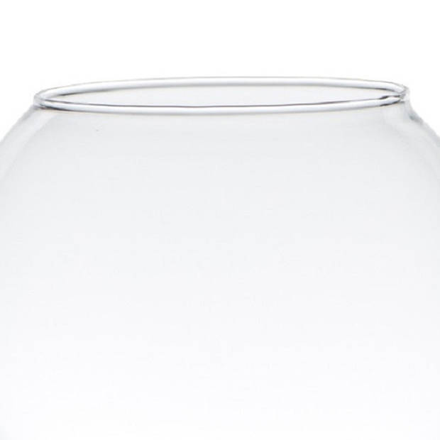 Hakbijl bol vaas/terrarium - D20 x H15 cm - glas - Vazen