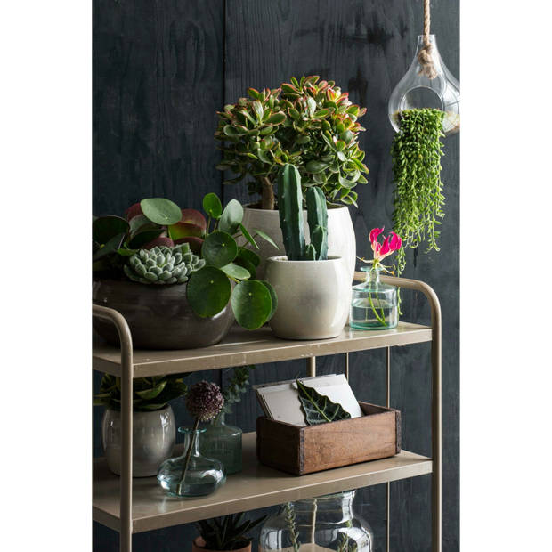 Mica Decorations Bloempot - groen - glanzend - keramiek - 24 x 22 cm - Plantenpotten