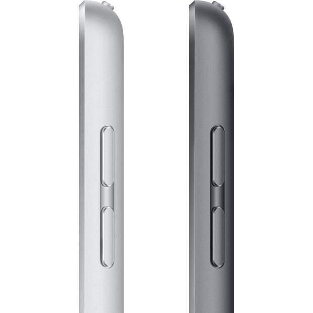Apple 10.2-inch iPad 256GB Wi-Fi + 4G 2021 (Grijs)
