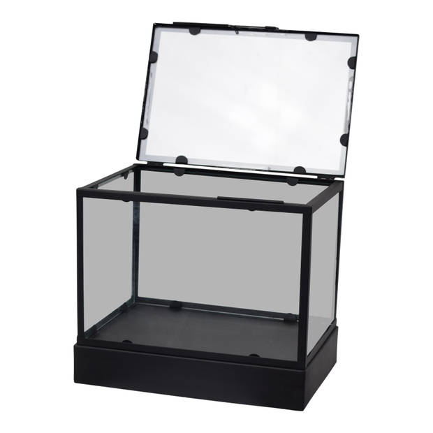 LOFT42 Showy Glazen Display Box Zwart - Metaal - (27x30x20)