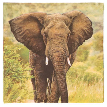 40x Safari thema servetten met olifant print 33 x 33 cm - Feestservetten