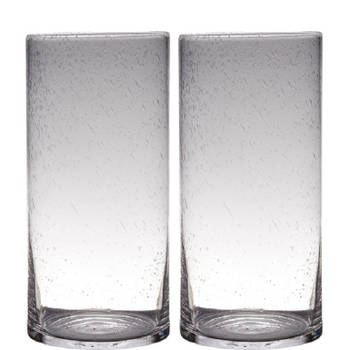 Set van 2x stuks transparante home-basics cylinder vorm vaas/vazen van bubbel glas 40 x 19 cm - Vazen