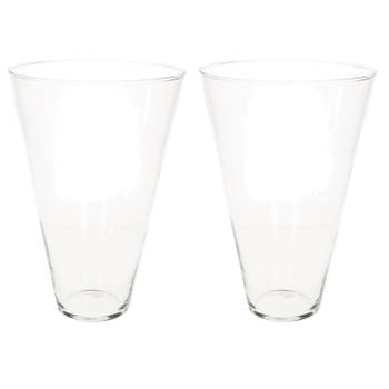 Set van 2x stuks transparante home-basics conische vaas/vazen van glas 30 x 19 cm - Vazen
