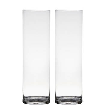 Set van 2x stuks transparante home-basics cylinder vorm vaas/vazen van glas 50 x 15 cm - Vazen