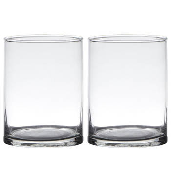 Set van 2x stuks transparante home-basics cylinder vorm vaas/vazen van glas 20 x 12 cm - Vazen