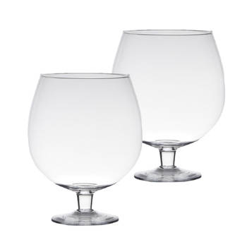 Set van 2x stuks transparante luxe stijlvolle Brandy vaas/vazen van glas 20 cm - Vazen