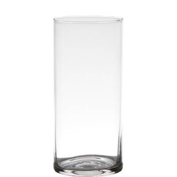 Transparante home-basics cylinder vorm vaas/vazen van glas 19 x 9 cm - Vazen