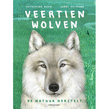 Lemniscaat Veertien wolven. 7+