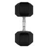 RYZOR Hexagon Dumbbell - 17,5 KG - Rubber - Zwart