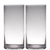 Set van 2x stuks transparante home-basics cylinder vorm vaas/vazen van bubbel glas 40 x 19 cm - Vazen