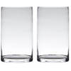 Set van 2x stuks transparante home-basics cylinder vorm vaas/vazen van glas 20 x 15 cm - Vazen