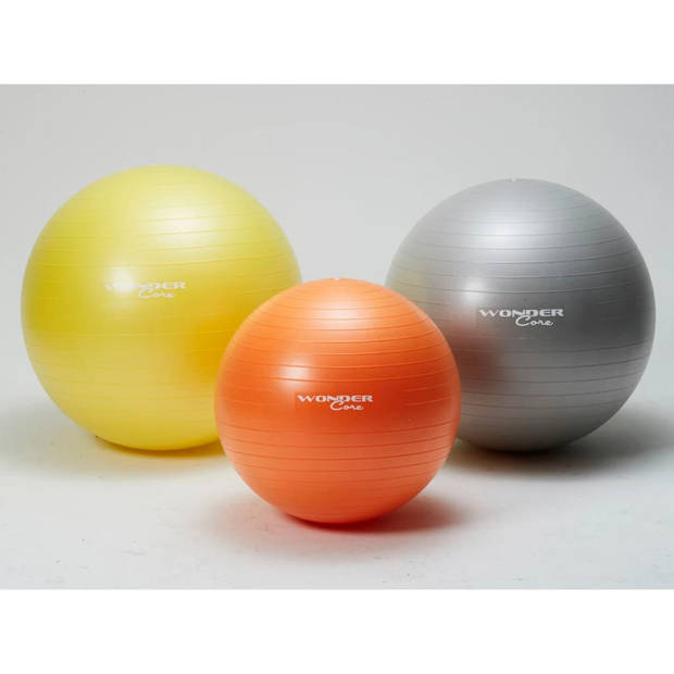 Wonder Core Fitnessbal anti-barst 75 cm grijs