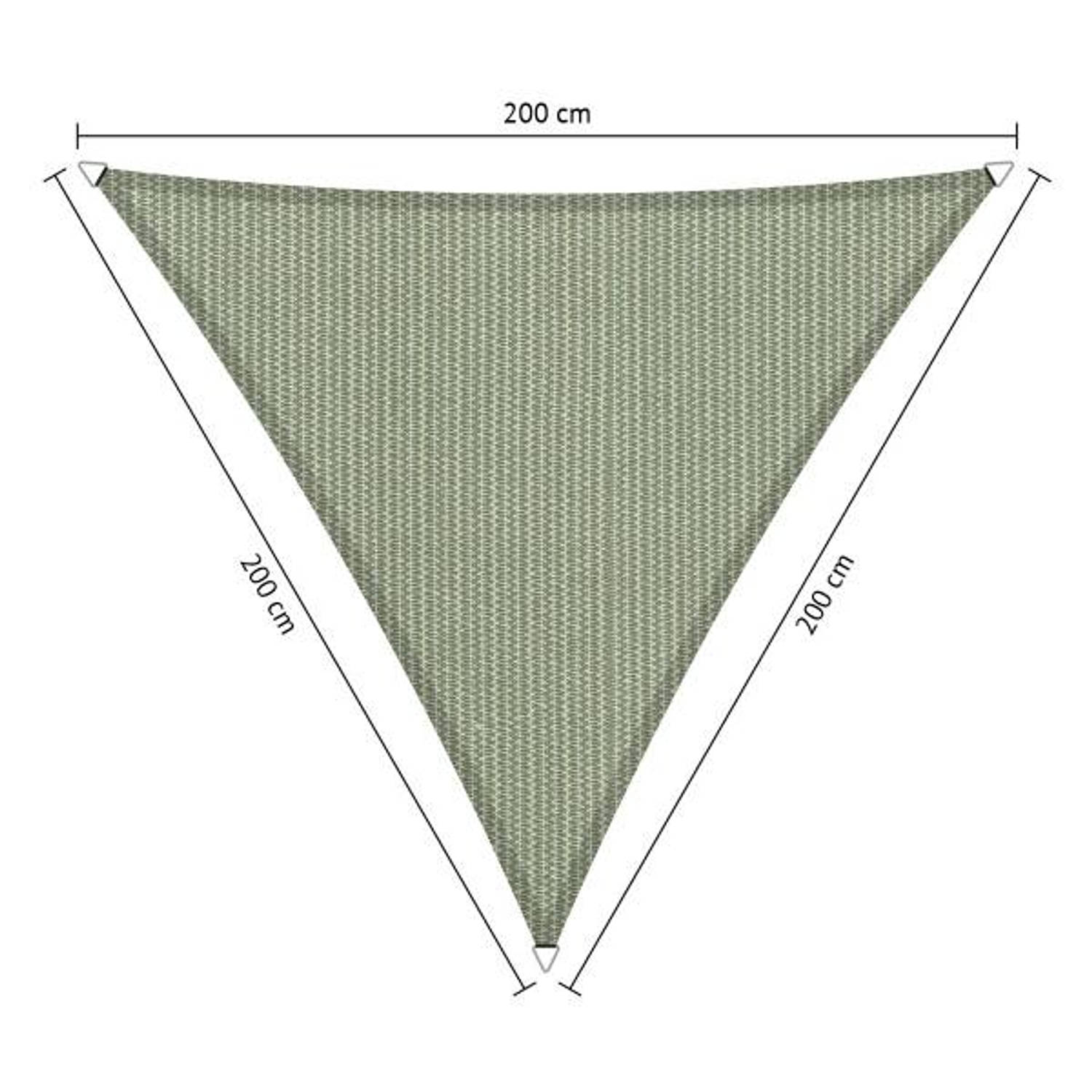 Compleet Pakket: Shadow Comfort Driehoek 2x2x2m Moonstone Green Met Rvs Bevestigingset En Buitendoek