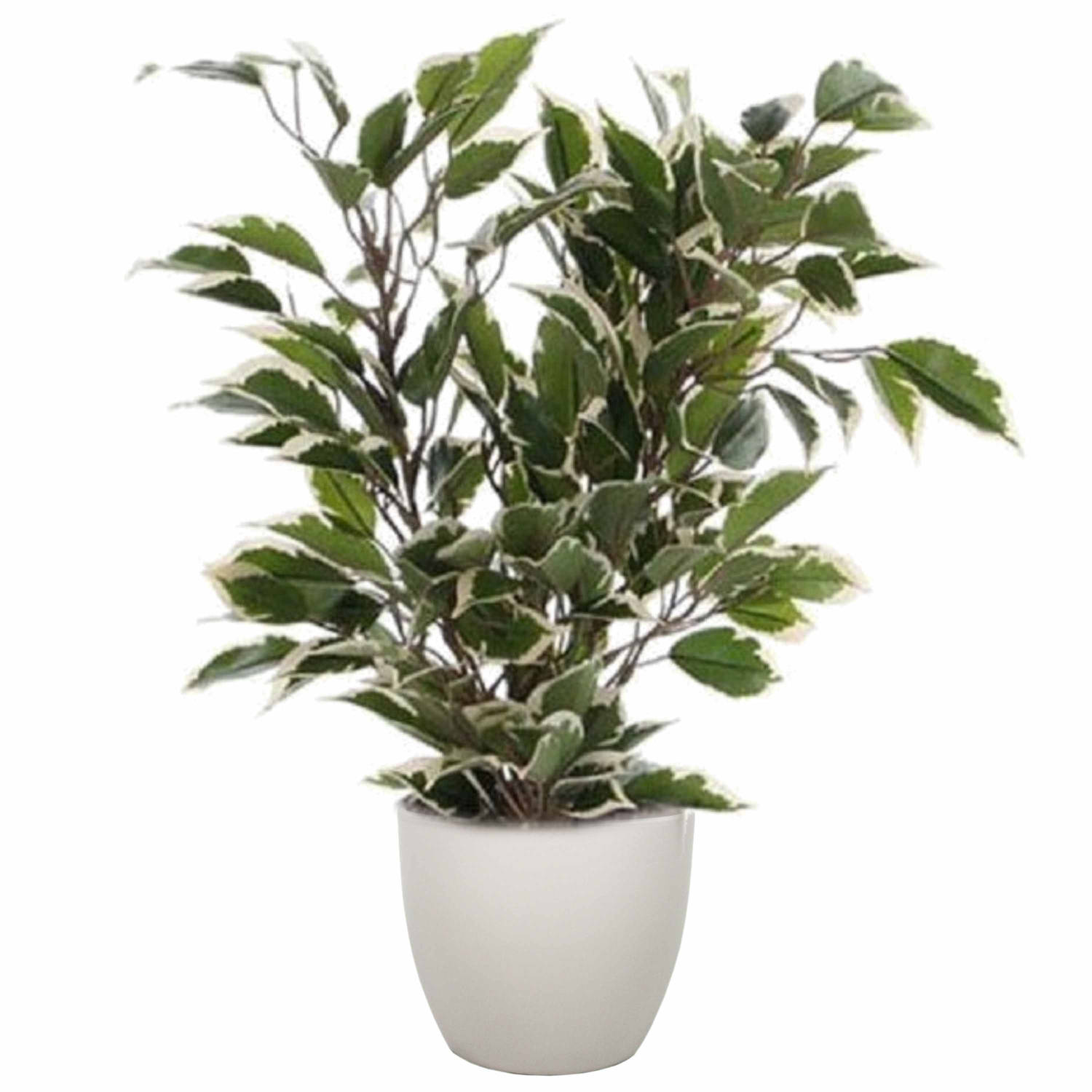 Groen-witte Ficus Kunstplant 40 Cm Met Plantenpot Taupe D13.5 En H12.5 Cm Kunstplanten