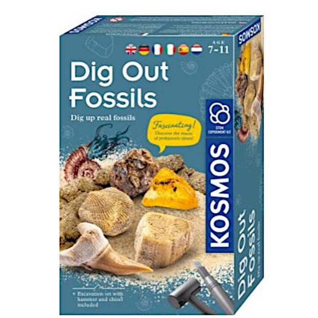 Kosmos opgravingsspel Dig Out Fossils junior 13 x 21 cm 5-delig