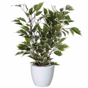 Groen/witte ficus kunstplant 40 cm met plantenpot glanzend wit D13.5 en H12.5 cm - Kunstplanten