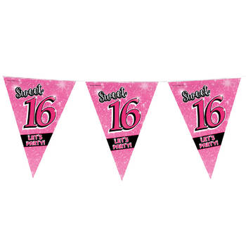 Paper Dreams vlaggenlijn Sweet 16 meisjes 10 meter roze