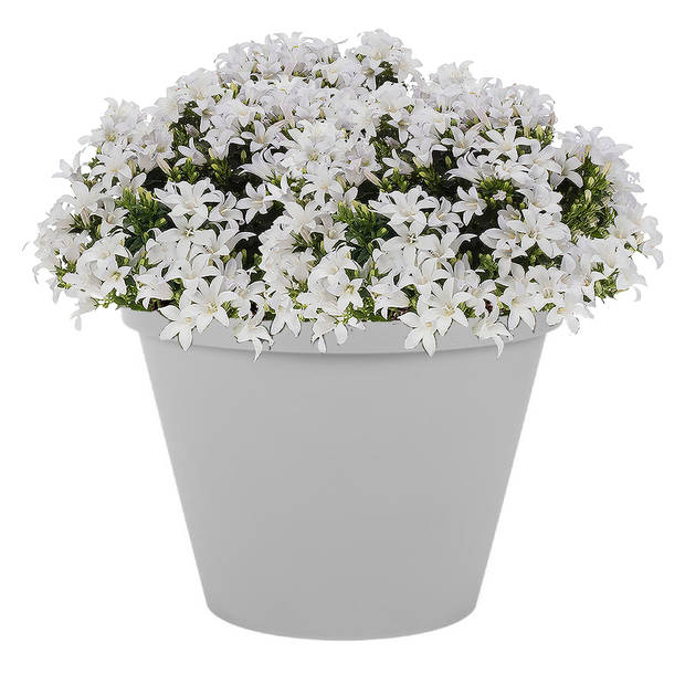 Bloempot Toscane kunststof grijs D20 x H17 cm - Plantenpotten