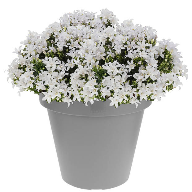 Plantenpotten/bloempotten grijs 30 cm - Plantenpotten