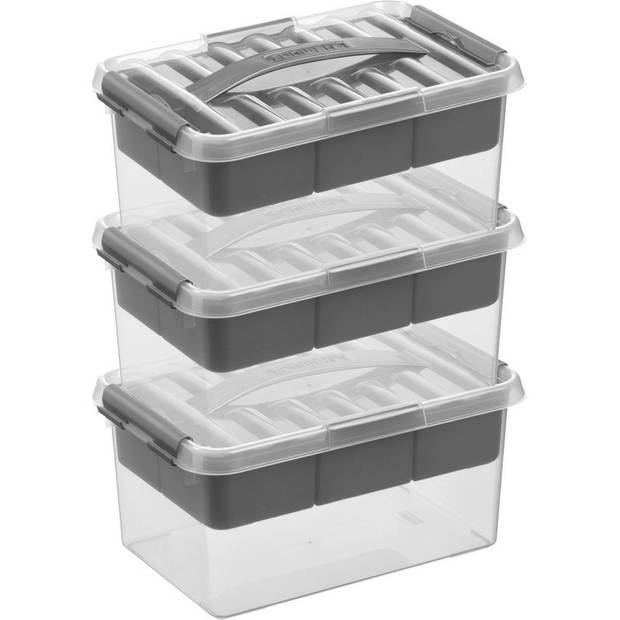 3x Kunststof stapelbare opbergbak met vakken 6 liter 30 x 20 x 14 cm - Opbergbox