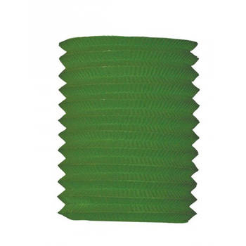 5x Treklampion groen 20 cm hoog - Feestlampionnen