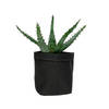 QUVIO Plantenzak uitwasbaar 9x9x15cm - Zwart