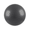 Iron Gym Exercise Massage Ball 65cm, gym fitness stabiliteit bal
