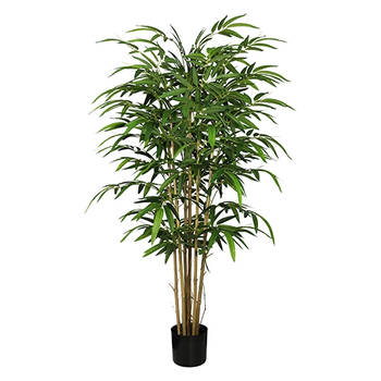 Bamboe groen 155 cm