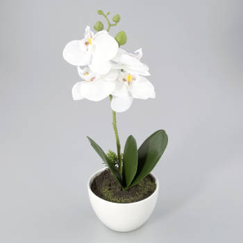 Orchidee in kunststof pot wit M